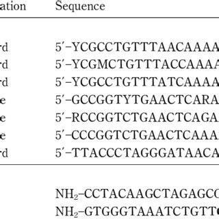 Nucleotide sequences of PCR primers and peptide nucleic acids (PNA ...