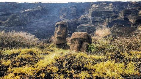 New moai statue uncovered on Easter Island - Hindustan Times