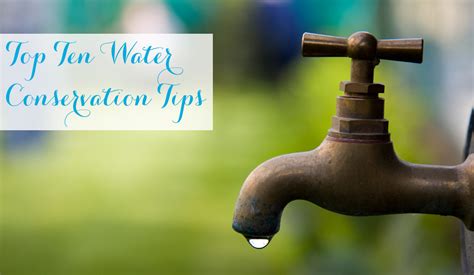 Top Ten Water Conservation Tips | Monica Potter