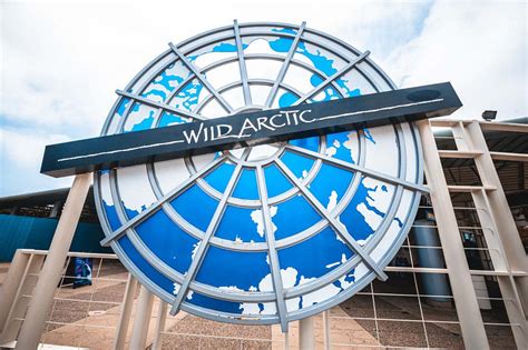 Meet the residents of Wild Arctic at SeaWorld San Diego