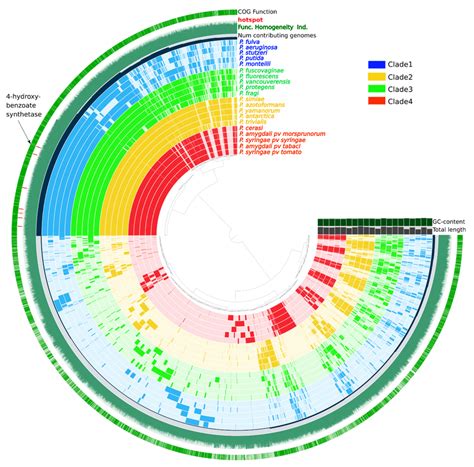 Pan-genome of 20 representative Pseudomonas genomes. One layer... | Download Scientific Diagram