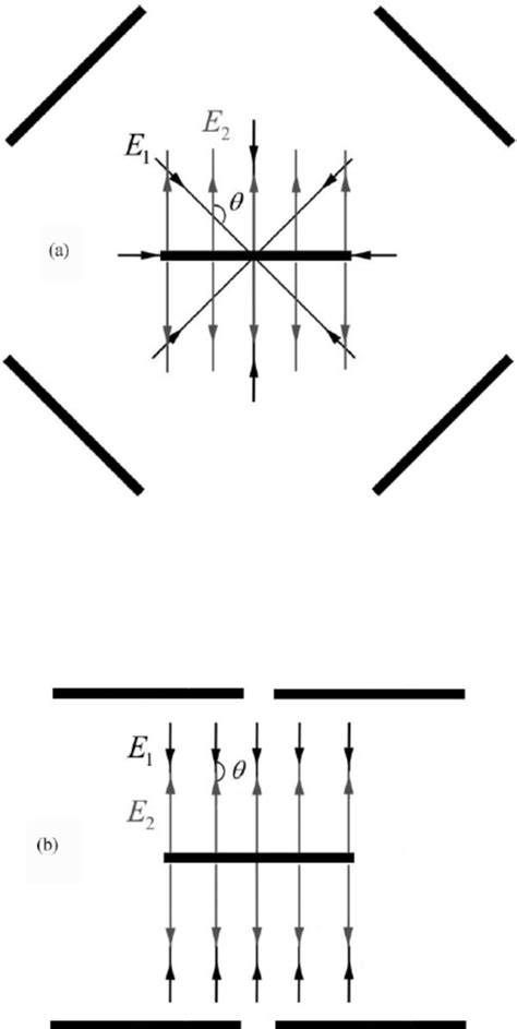 Sketch of the force lines of the electric field in the isotropic (a ...