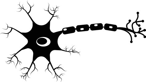 Neuron icon on white background. Human neuron cell sign. Brain neuron symbol. flat style ...