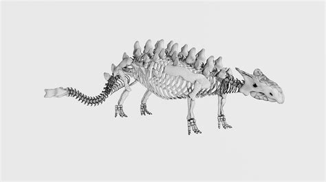 3D Model Ankylosaurus Skeleton - TurboSquid 1969527