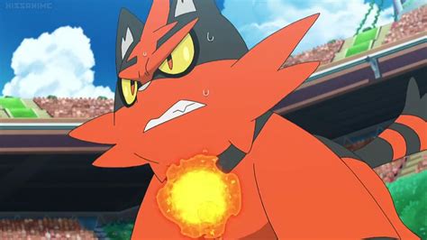 Torracat Screenshot | Pokemon incineroar, Pokemon sun, Pokemon