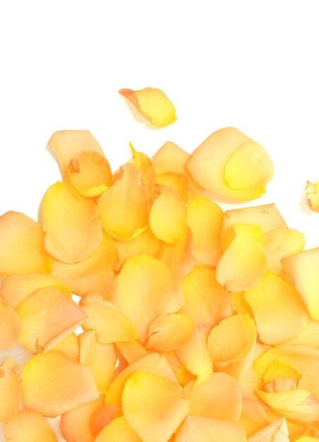 Premium Photo | Background of beautiful orange rose petals