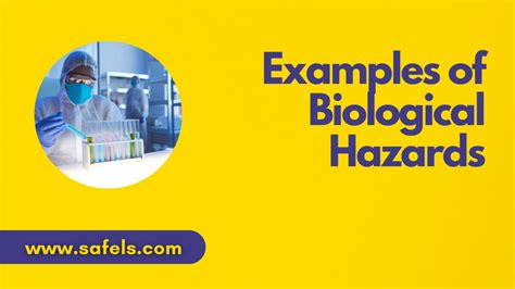 20 Common Examples of Biological Hazards in the Workplace