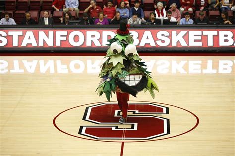 Stanford's palm tree mascot is its most horrifying yet - SBNation.com