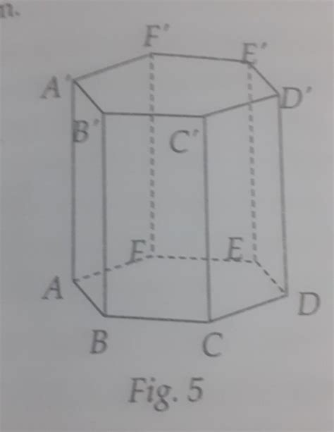 Se da prisma hexagonala regulată ABCDEFA'B'C'D'E'F' (fig. 5). Demonstrati ca: a) AB I D'E b) AE ...