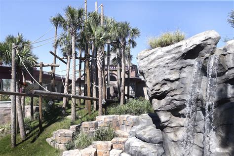 New Orangutan Habitat Debuts at Audubon Zoo in New Orleans