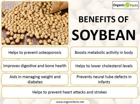 24 Best Soybean nutrition images | Soybean nutrition, Nutrition, Soybean