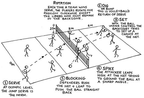 Volleyball Court Diagram For Coaches