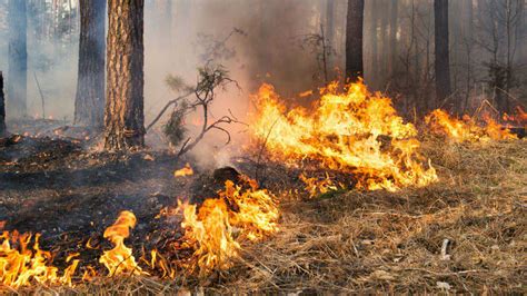 Cómo prevenir incendios