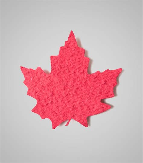 Seed Paper Maple Leaf Shape 2