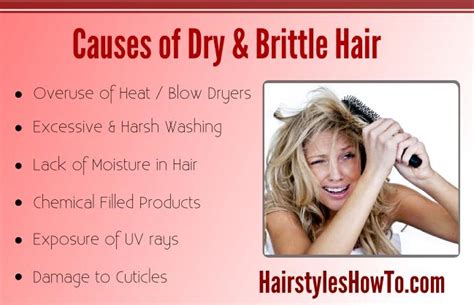 Causes of Dry & Brittle Hair | Hairstyles How To