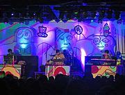 Category:Animal Collective - Wikimedia Commons