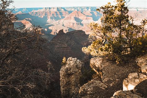 Grand Canyon National Park Through the Seasons - Parks & Trips