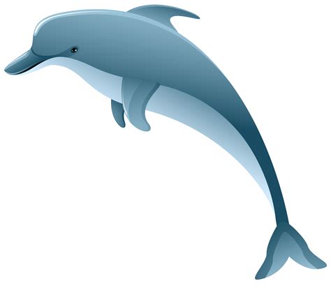 Dolphin Clip art - Dolphin PNG Clip Art Image png download - 8000*6984 - Free Transparent Common ...