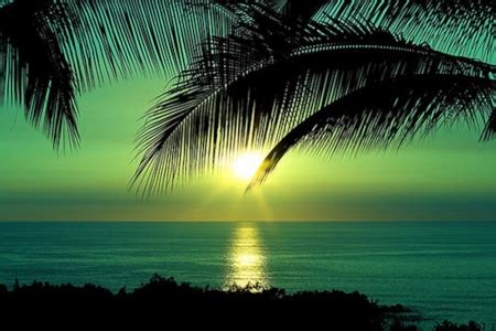 Green Sunset - Sunsets & Nature Background Wallpapers on Desktop Nexus (Image 2038791)