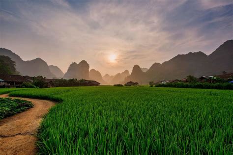 Mai Village Nth Vietnam Digital Art by Celestial Images - Fine Art America