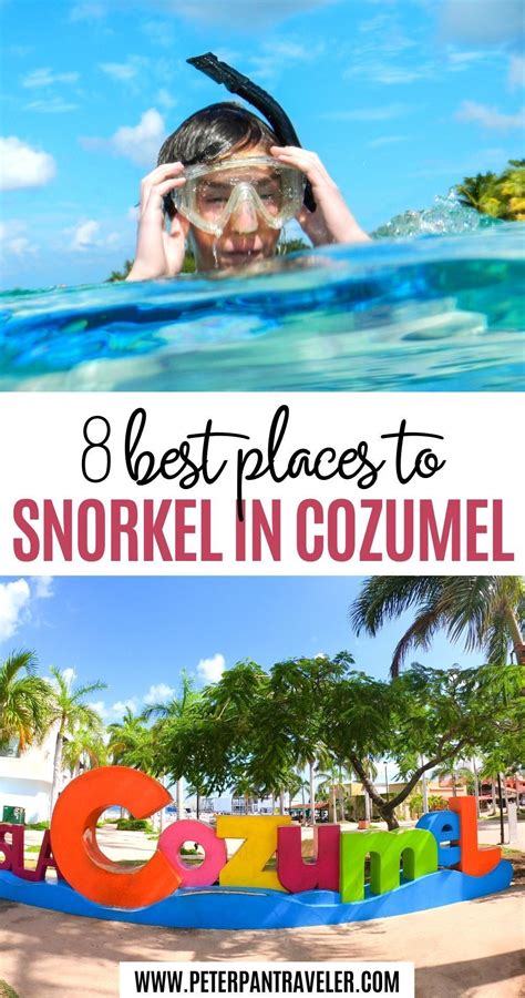 Cozumel snorkeling top 7 best places to snorkel in cozumel – Artofit