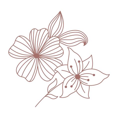 flowers decoration boho hand drawn style 2682968 Vector Art at Vecteezy