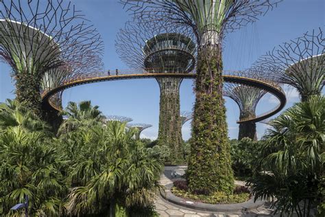 Gardens by the Bay, Supertrees - Greenroofs.com