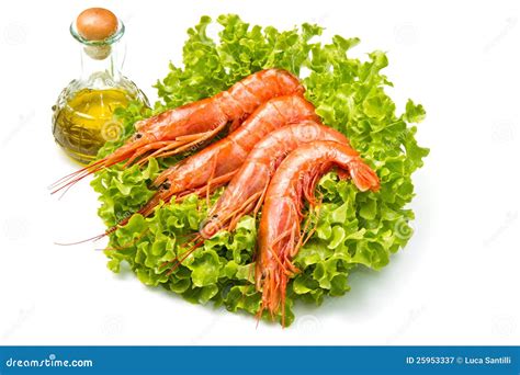 Prawns on fresh salad stock image. Image of fish, dinner - 25953337