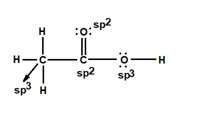 Ch3cooh Hybridization