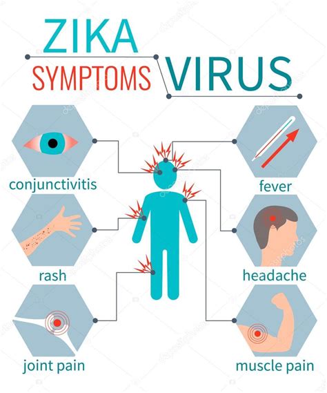 Zika Virus: Everything That You Must Know ! - Public Health Notes