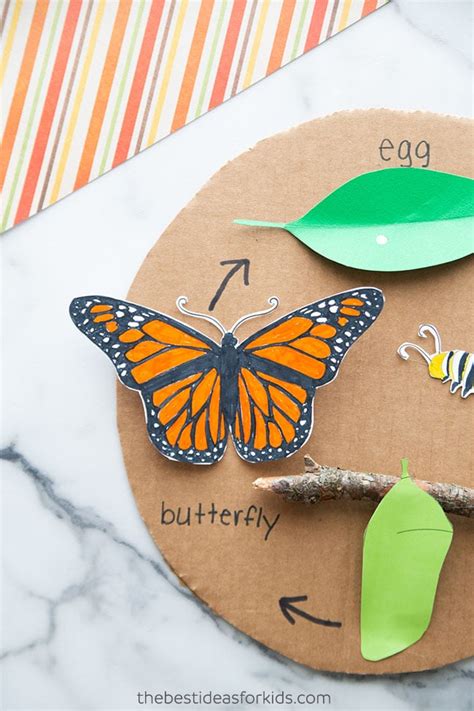 Butterfly Life Cycle Craft (with free template) - The Best Ideas for Kids