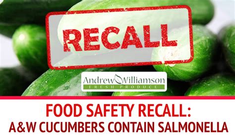 What Caused The Recent Salmonella Poona Outbreak?