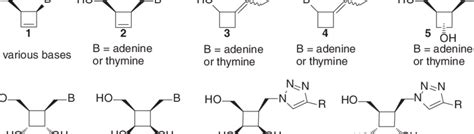 Cyclobutene and cyclobutane nucleoside analogs. | Download Scientific ...