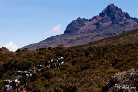 Rongai Route | Ultimate Kilimanjaro