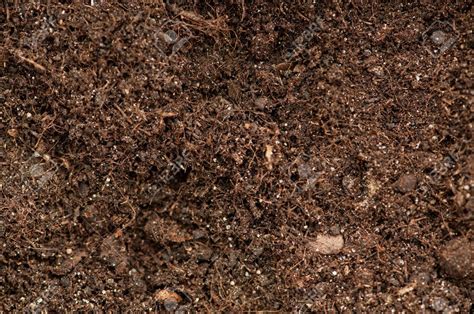 Image result for macro photography of soil | Macro photography, Cafe, Texture