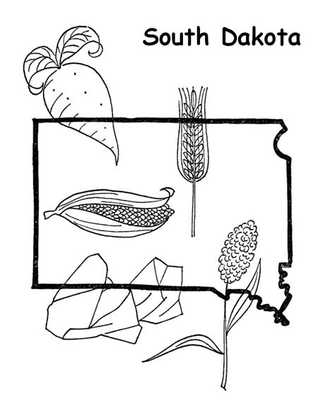 South Dakota State Bird Coloring Page Coloring Pages