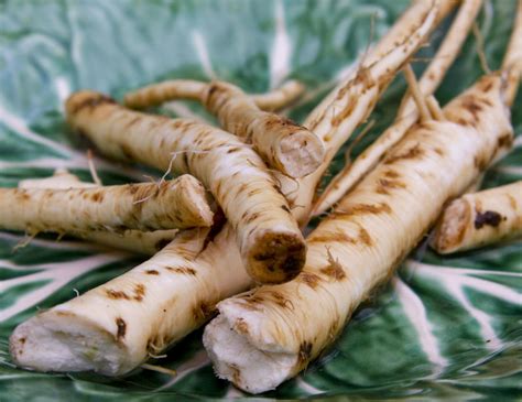 Horseradish Uses (Natural Recipes)