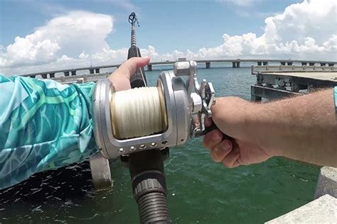 Skyway Fishing Pier | Grouper Fishing – Salty Scales