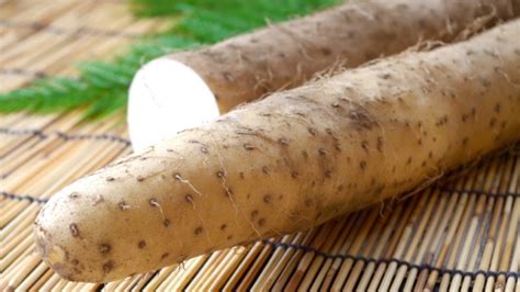 What is Nagaimo (Japanese yam)? | We Love Japanese Food