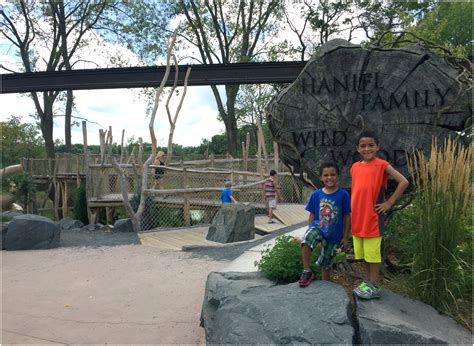 There’s Still Time to Visit the Minnesota Zoo Before School Starts!