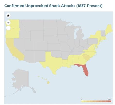 Shark Attack Map: Man Bitten in Cape Cod, Where Is An Attack Most Likely?