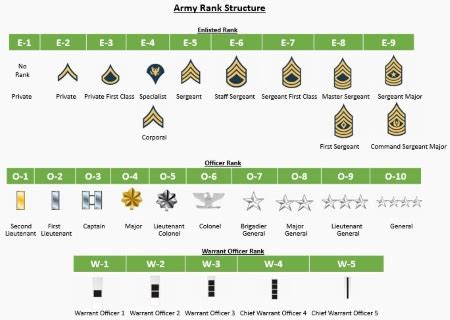 Army Leadership Requirements Model | Attributes & Principles - Lesson | Study.com