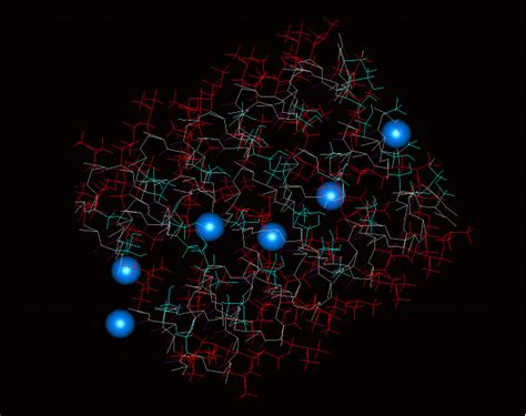 Molecular Dynamic Simulation – Celkha Biosciences