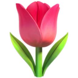 The Tulip Emoji on iEmoji.com | Emoji flower, Tulips, Emoji