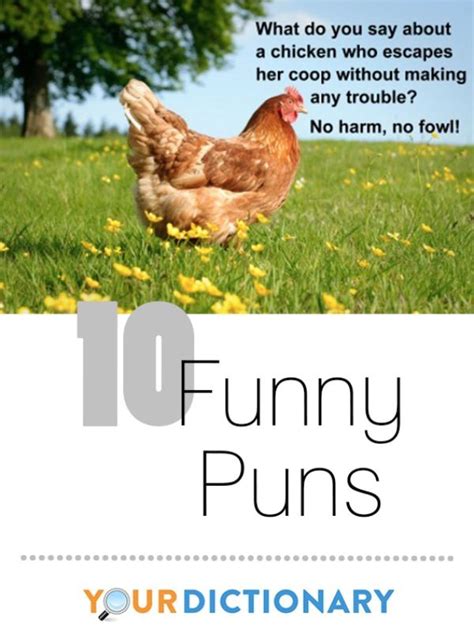 Puns are considered the ultimate form of wordplay by many. Puns often take advantage of words ...