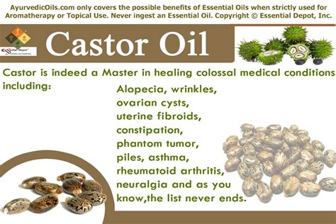 Castor-banner | Castor oil benefits, Essential oils, Uterine fibroids