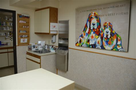 Hospital Tour - All Pets Veterinary Hospital