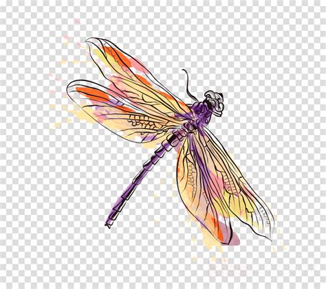 Insect, Watercolor Painting, Dragonfly, transparent png image ...