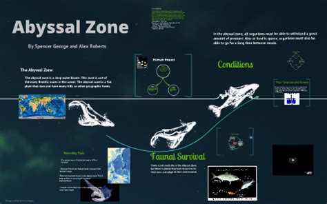 Abyssal Zone biome by spencer george on Prezi