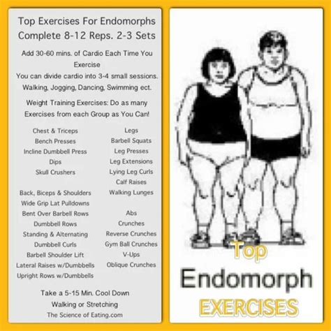 Pin by Beth Yakish Hokenbrough on Health and Fitness in 2024 | Body type workout, Endomorph body ...